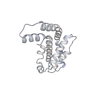 6769_5y6p_s2_v1-0
Structure of the phycobilisome from the red alga Griffithsia pacifica