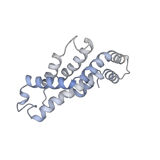 6769_5y6p_s6_v1-0
Structure of the phycobilisome from the red alga Griffithsia pacifica