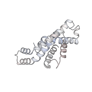 6769_5y6p_s8_v1-0
Structure of the phycobilisome from the red alga Griffithsia pacifica