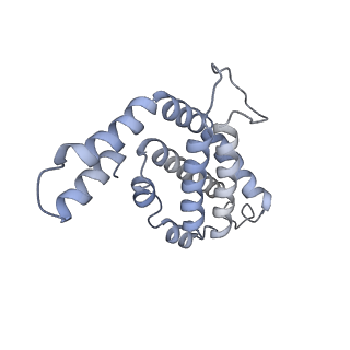 6769_5y6p_t6_v1-0
Structure of the phycobilisome from the red alga Griffithsia pacifica