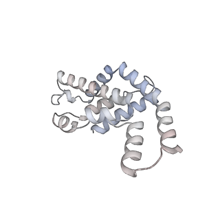 6769_5y6p_u8_v1-0
Structure of the phycobilisome from the red alga Griffithsia pacifica