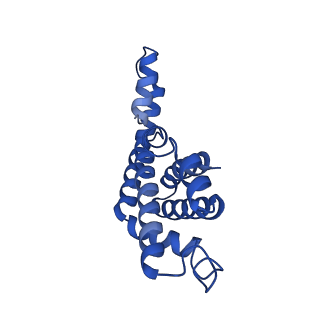 6769_5y6p_v1_v1-0
Structure of the phycobilisome from the red alga Griffithsia pacifica