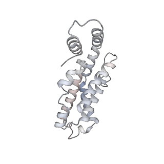 6769_5y6p_v2_v1-0
Structure of the phycobilisome from the red alga Griffithsia pacifica