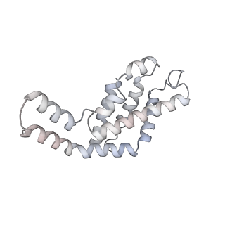 6769_5y6p_w2_v1-0
Structure of the phycobilisome from the red alga Griffithsia pacifica