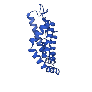 6769_5y6p_x1_v1-0
Structure of the phycobilisome from the red alga Griffithsia pacifica