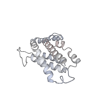 6769_5y6p_x7_v1-0
Structure of the phycobilisome from the red alga Griffithsia pacifica