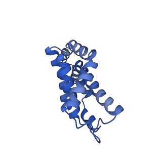 6769_5y6p_y1_v1-0
Structure of the phycobilisome from the red alga Griffithsia pacifica