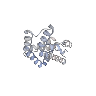 6769_5y6p_y4_v1-0
Structure of the phycobilisome from the red alga Griffithsia pacifica