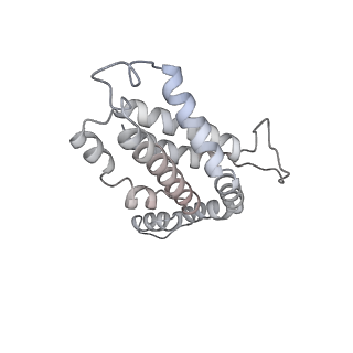 6769_5y6p_y6_v1-0
Structure of the phycobilisome from the red alga Griffithsia pacifica