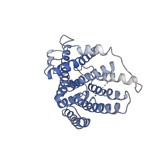 10711_6y79_1_v1-1
Cryo-EM structure of a respiratory complex I F89A mutant