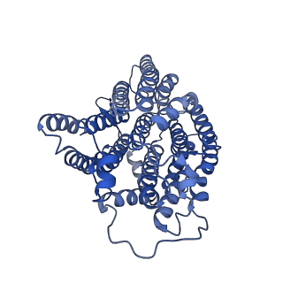 10711_6y79_2_v1-1
Cryo-EM structure of a respiratory complex I F89A mutant