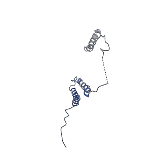 10711_6y79_3_v1-1
Cryo-EM structure of a respiratory complex I F89A mutant