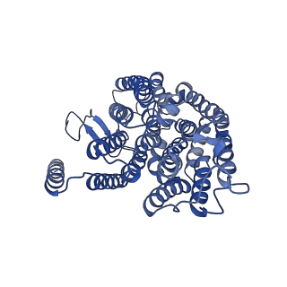 10711_6y79_4_v1-1
Cryo-EM structure of a respiratory complex I F89A mutant