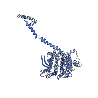 10711_6y79_5_v1-1
Cryo-EM structure of a respiratory complex I F89A mutant
