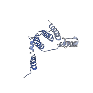 10711_6y79_6_v1-1
Cryo-EM structure of a respiratory complex I F89A mutant