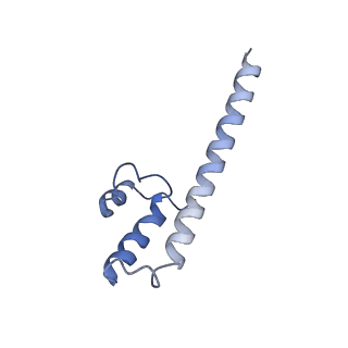 10711_6y79_8_v1-1
Cryo-EM structure of a respiratory complex I F89A mutant