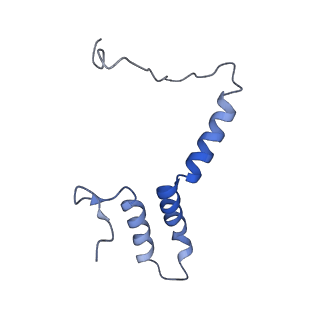 10711_6y79_9_v1-1
Cryo-EM structure of a respiratory complex I F89A mutant