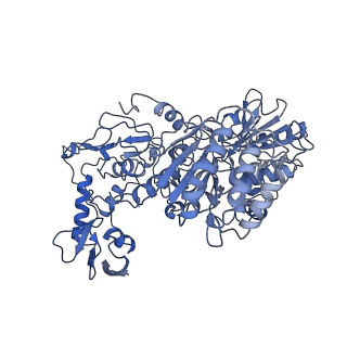 10711_6y79_A_v1-1
Cryo-EM structure of a respiratory complex I F89A mutant