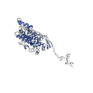 10711_6y79_C_v1-1
Cryo-EM structure of a respiratory complex I F89A mutant