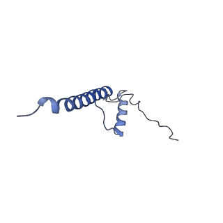 10711_6y79_D_v1-1
Cryo-EM structure of a respiratory complex I F89A mutant