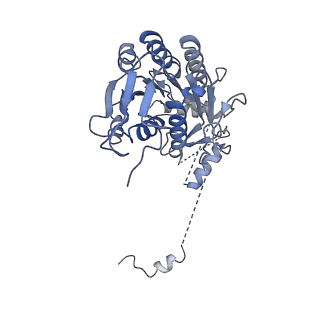 10711_6y79_E_v1-1
Cryo-EM structure of a respiratory complex I F89A mutant