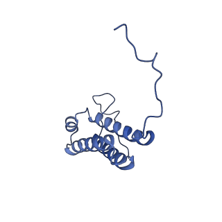 10711_6y79_F_v1-1
Cryo-EM structure of a respiratory complex I F89A mutant