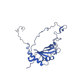 10711_6y79_G_v1-1
Cryo-EM structure of a respiratory complex I F89A mutant