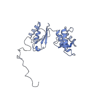10711_6y79_H_v1-1
Cryo-EM structure of a respiratory complex I F89A mutant