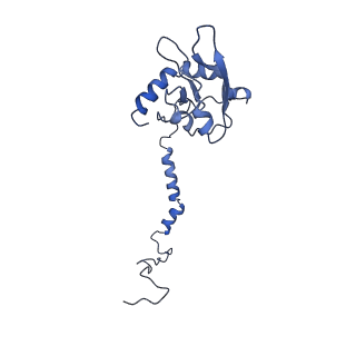10711_6y79_I_v1-1
Cryo-EM structure of a respiratory complex I F89A mutant