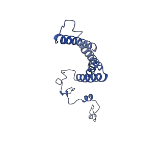 10711_6y79_J_v1-1
Cryo-EM structure of a respiratory complex I F89A mutant