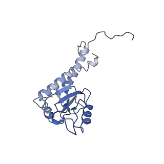 10711_6y79_K_v1-1
Cryo-EM structure of a respiratory complex I F89A mutant