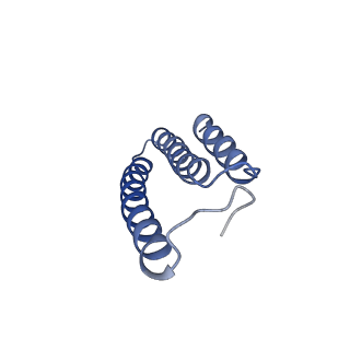 10711_6y79_L_v1-1
Cryo-EM structure of a respiratory complex I F89A mutant