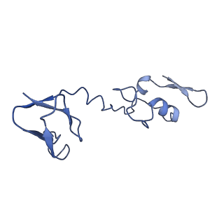 10711_6y79_M_v1-1
Cryo-EM structure of a respiratory complex I F89A mutant