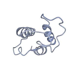 10711_6y79_O_v1-1
Cryo-EM structure of a respiratory complex I F89A mutant