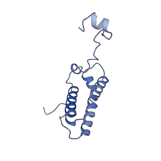 10711_6y79_P_v1-1
Cryo-EM structure of a respiratory complex I F89A mutant