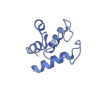 10711_6y79_Q_v1-1
Cryo-EM structure of a respiratory complex I F89A mutant