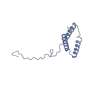10711_6y79_R_v1-1
Cryo-EM structure of a respiratory complex I F89A mutant