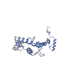 10711_6y79_S_v1-1
Cryo-EM structure of a respiratory complex I F89A mutant