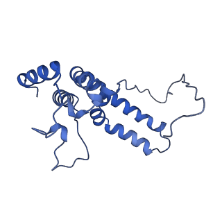 10711_6y79_U_v1-1
Cryo-EM structure of a respiratory complex I F89A mutant