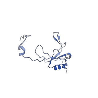 10711_6y79_Y_v1-1
Cryo-EM structure of a respiratory complex I F89A mutant