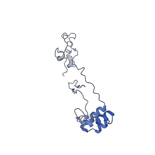 10711_6y79_Z_v1-1
Cryo-EM structure of a respiratory complex I F89A mutant