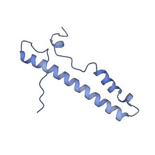 10711_6y79_d_v1-1
Cryo-EM structure of a respiratory complex I F89A mutant
