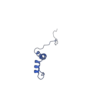 10711_6y79_g_v1-1
Cryo-EM structure of a respiratory complex I F89A mutant
