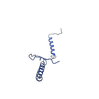 10711_6y79_i_v1-1
Cryo-EM structure of a respiratory complex I F89A mutant