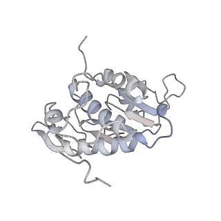 10713_6y7c_A_v1-0
Early cytoplasmic yeast pre-40S particle (purified with Tsr1 as bait)