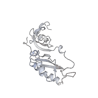 10713_6y7c_B_v1-0
Early cytoplasmic yeast pre-40S particle (purified with Tsr1 as bait)