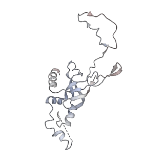 10713_6y7c_I_v1-0
Early cytoplasmic yeast pre-40S particle (purified with Tsr1 as bait)