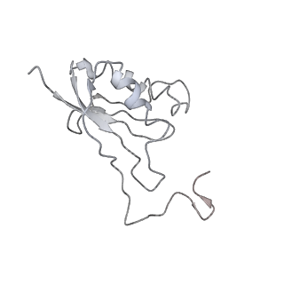 10713_6y7c_O_v1-0
Early cytoplasmic yeast pre-40S particle (purified with Tsr1 as bait)