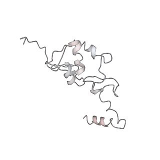 10713_6y7c_S_v1-0
Early cytoplasmic yeast pre-40S particle (purified with Tsr1 as bait)