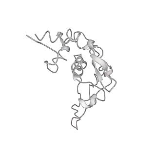 10713_6y7c_T_v1-0
Early cytoplasmic yeast pre-40S particle (purified with Tsr1 as bait)